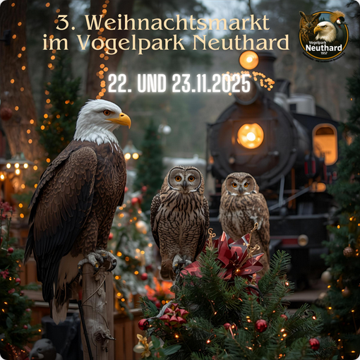Weihnachtsmarkt