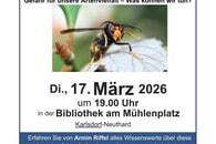 Vortrag &uuml;ber die Asiatische Hornisse ist &bdquo;ausverkauft&ldquo;