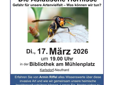 Vortrag &uuml;ber die Asiatische Hornisse ist &bdquo;ausverkauft&ldquo;