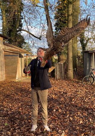 Flug in die Freiheit: Aus den Händen des künftigen Bürgermeisters Dr. Gunter Carra schwingt sich ein imposanter Uhu in die Lüfte