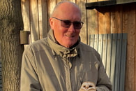 Erfolgreiche Auswilderung von Greifvögeln