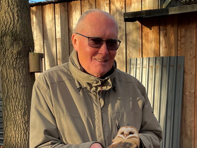 Erfolgreiche Auswilderung von Greifvögeln