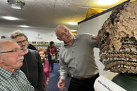 Zweiter Infoabend &uuml;ber Asiatische Hornissen