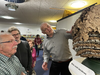 Zweiter Infoabend &uuml;ber Asiatische Hornissen