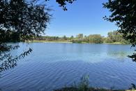 Badewasserqualit&auml;t des Sieben-Erlen-Sees best&auml;tigt