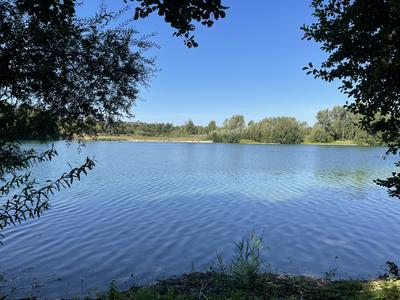 Badewasserqualit&auml;t des Sieben-Erlen-Sees best&auml;tigt