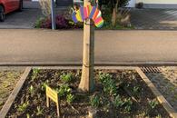 Natur nah dran mit Bl&uuml;hfl&auml;chen f&uuml;r Baumscheiben