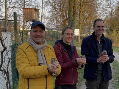 100 Tiere erfolgreich wieder in die Natur entlassen